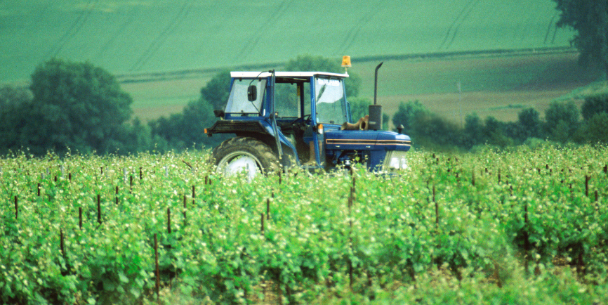 Copia de Planificación y Diseño(6)